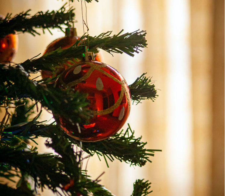 From Christmas Trees on Clearance to Gym Goals: Tips for Success